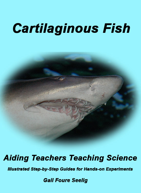 Cartilaginous Fish
