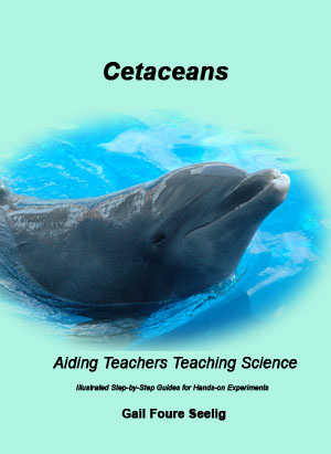 Cetaceans_Front